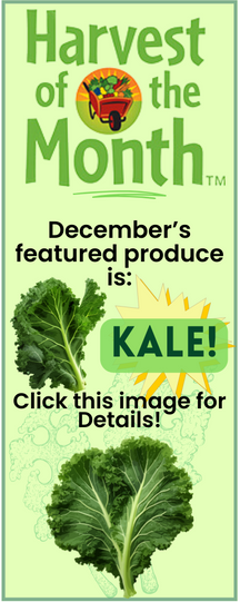 Image of the harvest of the month for December, which is kale. This picture is clickable so you can open a PDF.